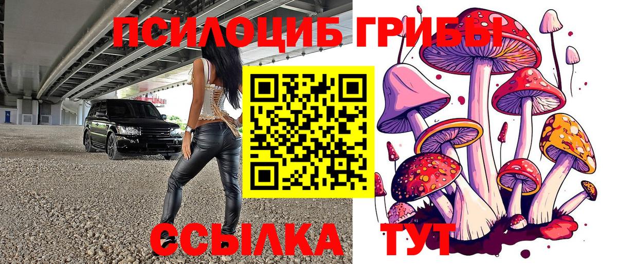 Галлюциногенные грибы мухоморы Черкесск
